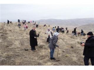 KIRIKKALE HATIRA ORMANINA AĞAÇ DİKİMİ